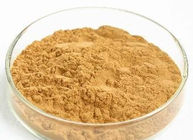 Starkes natürliches diätetische Ergänzungs-Brown-Löwenzahn-Wurzel-Auszug-Antioxidanspulver