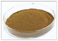 Pflanzenauszug-Pulver-Brown-Farbolivgrüne Blatt-Extraktion des Oleuropein-20%