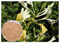 Antibakterielles Chlorogensäure 5% Geißblatt-Blumen-Auszugpulver