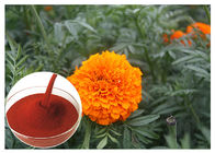 Blumen-natürliche Blume Tagetes Erecta extrahiert das Pulver, das Augen-Gesundheit verhindert