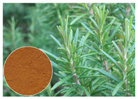 Kosmetischer Rosemary-Antioxidansauszug, Rosemary-Auszug-Pulver CAS 20283 95 5