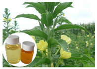 Gelbes Nachtkerzenöl der Frauen-Menopausen-natürliches diätetisches Ergänzungs-GLA 10%