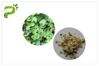 Pulver-natürliche kosmetische Bestandteil-Akne Gotu-Kolabaum-Blatt-Auszug Asiaticoside-Triterpene