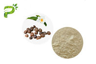 Natürliche Pflanzenauszug-Kamelien-ölhaltige Abel-Samen-Auszug-Tee-Saponin-natürliches Reinigungsmittel