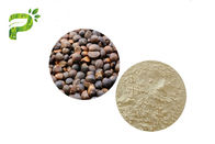 Natürliche kosmetische Bestandteil-Kamelien-ölhaltige Abel-Samen-Auszug-Tee-Saponine für Emulsionsmittel