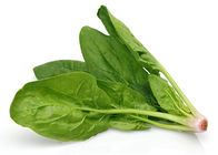 Kein Mehltau-natürliches Gemüse pulverisiert 100 Kadmium Mesh Spinach Extract Powders 1.0ppm