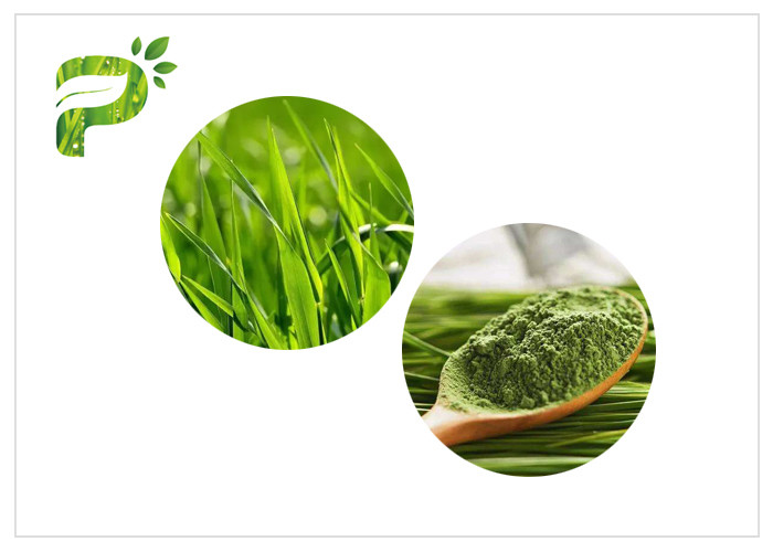 Pigmentations-das grüne Gesundheits-Pulver-grünes Gras-Pulver entfernen in hohem Grade sicher