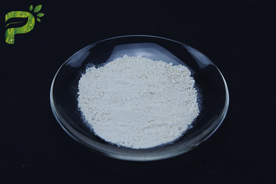 CDP-Cholin Citicolin erhöht die Gesundheit des Gehirns CAS Nr. 987-78-0