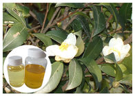 Fettsäure-Öl-natürliche kosmetische Bestandteile vom Kamelien-ölhaltigen Samen