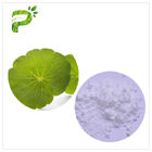 Asiatica Blatt-Auszug natürlicher kosmetischer Pflanzenauszug Centella für die Haut-Narben-Reparatur