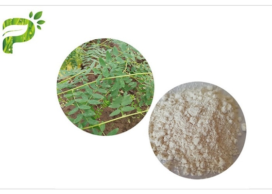 CAS 84687 43 4 Antialtern Astragal Membranaceus-Auszug Astragaloside IV 98%