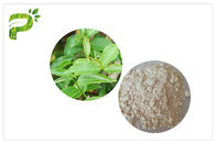 CAS 989 grüner Tee-Auszug-Kosmetik mit 51 5 EGCG ordnet Epigallocatechin-Gallat-Bestandteil