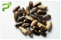 Hellgelbes Pflanzenauszug-Pulver-natürlicher Bestandteil-Mariendistel-Samen-Auszug für Leber-Medizin