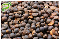 Natürliche Pflanzenauszug-Kamelien-ölhaltige Abel-Samen-Auszug-Tee-Saponin-natürliches Reinigungsmittel