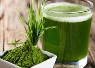 100 Maschen-grünes Gesundheits-Pulver-Gersten-Gras-Saft-Pulver für Nahrungsmittelergänzung