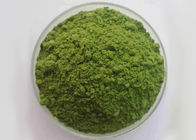 Kein Mehltau-natürliches Gemüse pulverisiert 100 Kadmium Mesh Spinach Extract Powders 1.0ppm