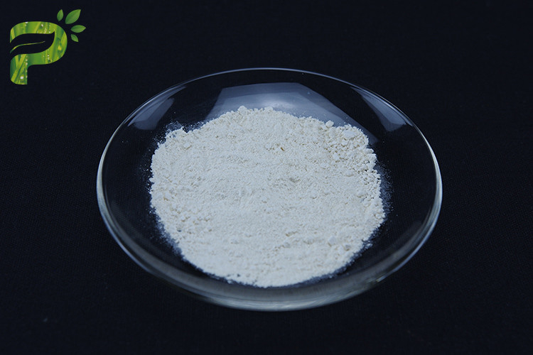CDP-Cholin Citicolin erhöht die Gesundheit des Gehirns CAS Nr. 987-78-0