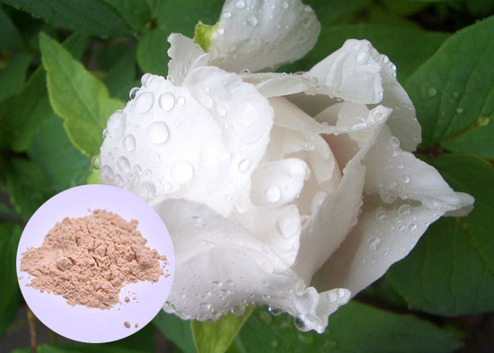 Pfingstrosen-Wurzel-Pflanzenauszug-Pulver Paeonia Lactiflora für das Haut-Weiß werden