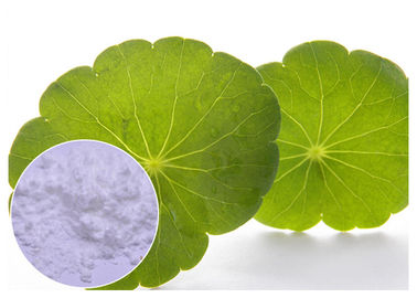 Asiatica Pulver kosmetischer Kräuterpflanzenauszug Centella mit Madecassoside 90% CAS 34540 22 2