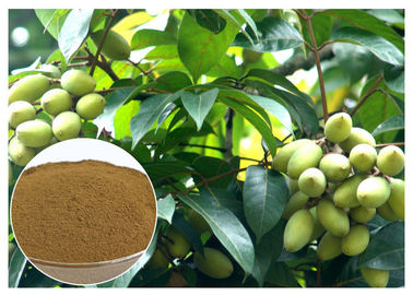 Oleuropein-natürlicher olivgrüner Blatt-Auszug-natürlicher Bestandteil mit HPLC Test
