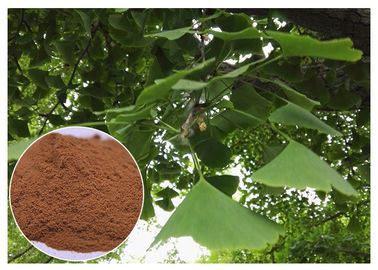Natürlicher Pflanzenauszug verhindern Herz-Kreislauf-Erkrankungen Ginkgo Biloba-Blatt-Auszug EP-Grad
