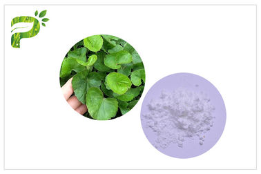 CAS 34540 22 2 Centella asiatica Auszug, Kolabaum-Auszug Madecassoside Gotu