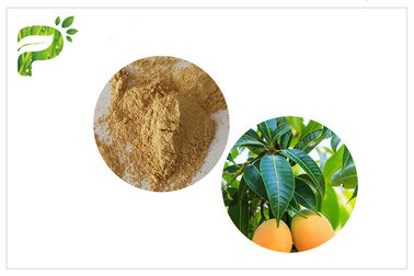 Anti- Mikrobenpflanzenauszüge Mangiferin-Mango-Blatt-Pulver CAS 4773 96 0