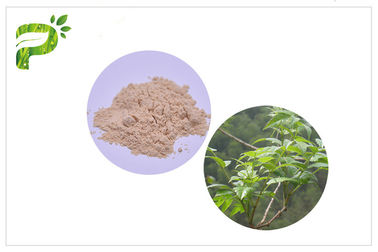 Auszug Dihydromyricetin/DHM Ampelopsis Grossedentata für Kater-Syndrome CAS 27200 12 0